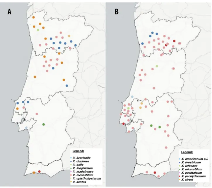 FIGURE 1. Geographic distribution of populations from X. americanum group species in Continental Portugal: (A) Xiphinema brevicolle,  X