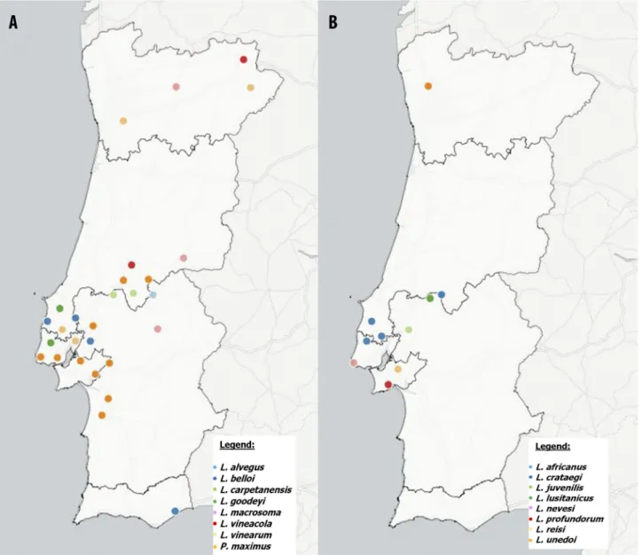 FIGURE 3. Geographic distribution of populations from Longidorus and Paralongidorus species in Continental Portugal: (A)  L