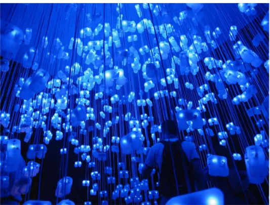 Figure 5: Bion taken from http://www-symbiotic.cs.ou.edu/projects/bion/ (22/10/2014) 