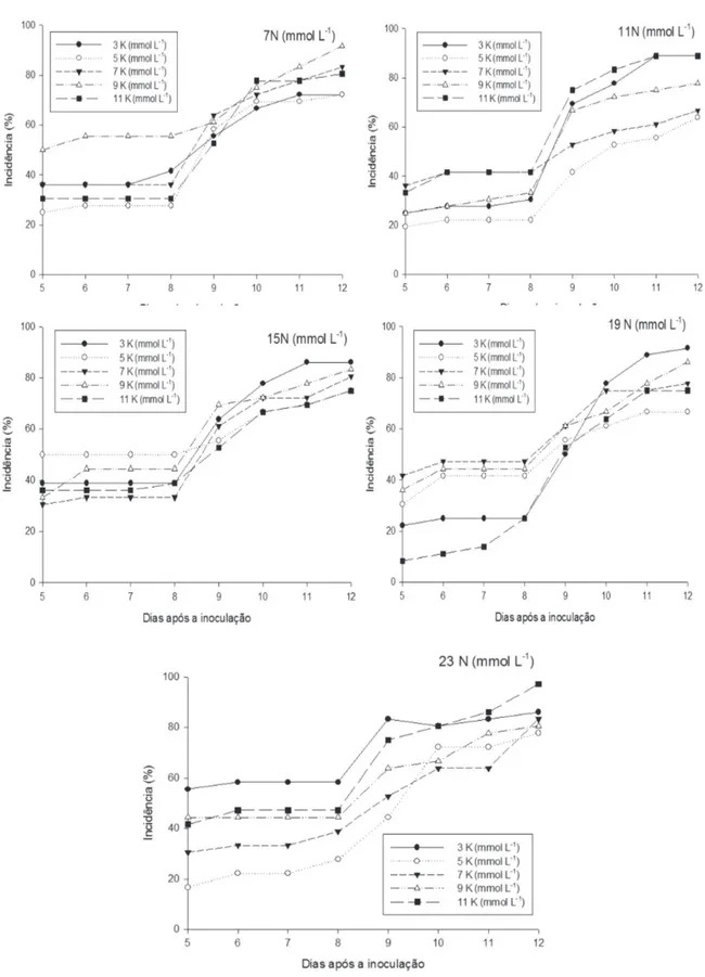 figura 1 - Curva de progresso da incidência (%) da mancha aureolada (P. syringae pv garcae) em mudas de  cafeeiro, ao longo do tempo nas diferentes combinações de N e K (mmol L -1 ) em solução nutritiva.