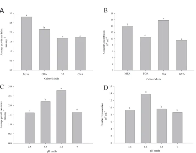 FIGURE 1 - Mycelial growth and sporulation of Colletotrichum spp. (A-B) Mycelial growth and sporulation  influenced by the culture media used for the fungi cultivation