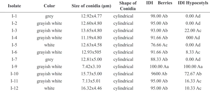 TABLE 4 - Morphological characteristics of Colletotrichum spp. and aggressiveness level in green berries and  hypocotyls.