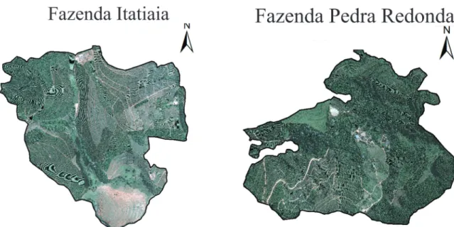 FIGURA 2 - Recorte da imagem GeoEye focalizando as fazendas Itatiaia e Pedra Redonda para o segundo estudo  de caso.