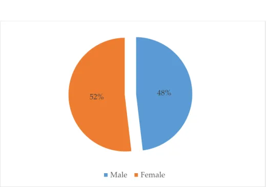 FIGURE 6 - Graphic representing gender parameter 
