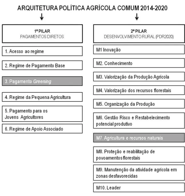 Figura 2.5 Arquitetura dos pagamentos no regime da Politica Agrícola Comum 2014- 2014-2020 (fonte GPP, 2014b)