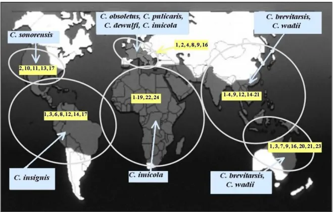 Figura 1: Distribuição mundial dos serótipos do vírus da língua azul e dos vectores primários Culicoides  nas diferentes regiões geográficas  de acordo com  Tabachnick (2010)
