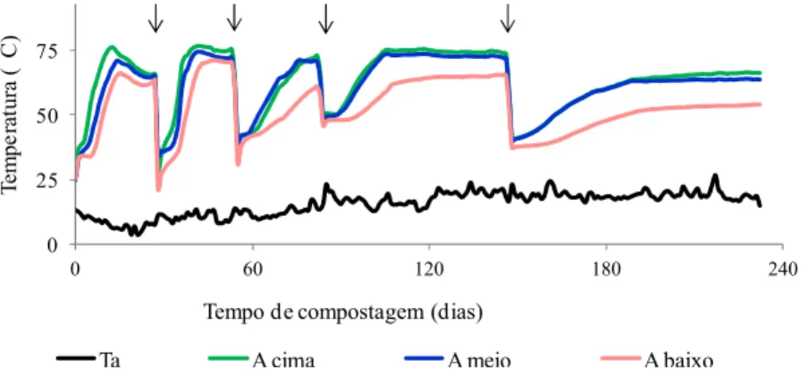 Figura 3.1 - Variação  das  temperaturas  da  pilha  de  compostagem com  maior  número  de  revolvimentos (A) ao longo do tempo