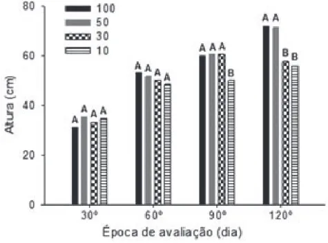 FIGURA 7 - Altura em função da água disponível no solo (100, 50, 30 e 10%) para cada época de avaliação (30º,  60º, 90º e 120º dia após déficit hídrico)