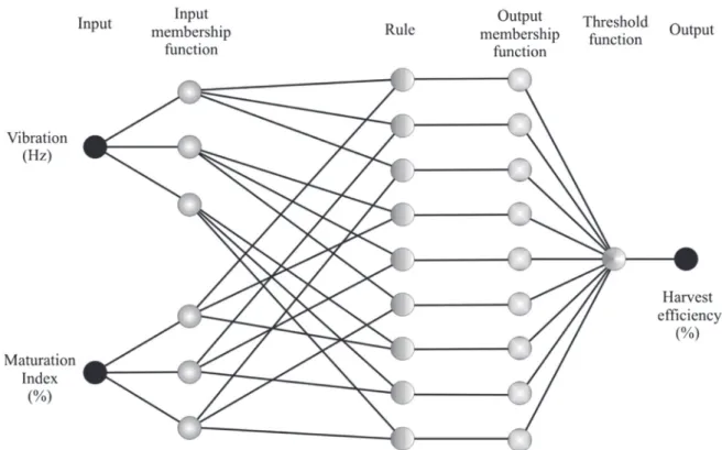 FIGURE 1  - Architecture  of  neural  network  system  used  to  define  the  “neuro-fuzzy”  system  to  estimate  the  efficiency of the harvest of the KTR ®  harvester.