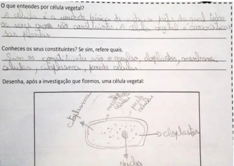 Figura 6. Exemplo de registo após realização das atividades laboratoriais e de pesquisa no manual