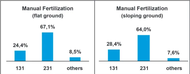 figurE 3 - Postural combinations the manual fertilization.