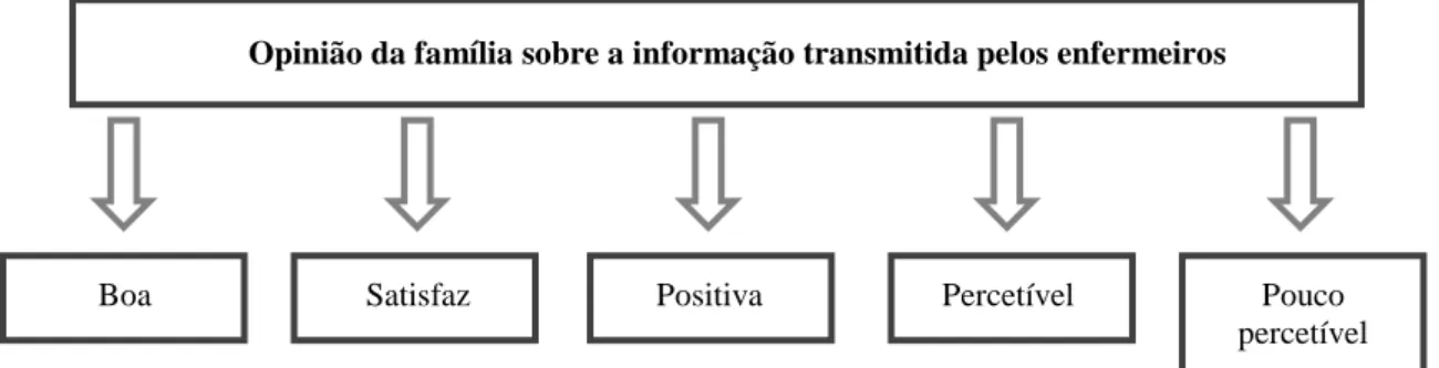 Figura 5 – Opinião da família sobre a informação transmitida pelos enfermeiros – categorias 
