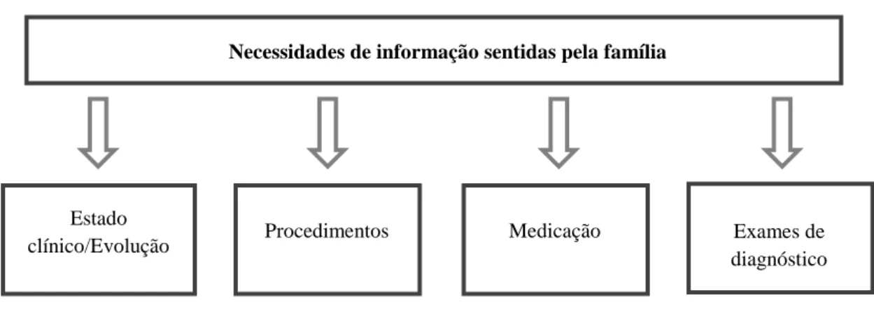 Figura 6 – Necessidades de informação sentidas pela família - categorias 