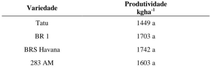 Tabela 4.Média  de produtividade em kg ha -1 das cultivares e linhagem de amendoim  estudadas