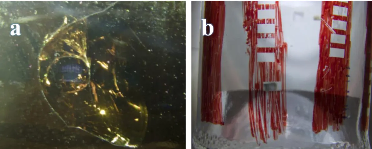 Fig. 3.4.1 shows an example of a window glass after been treated with a CO 2  laser. 