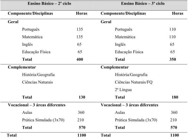 Tabela 5 – Estrutura curricular dos cursos vocacionais básicos 