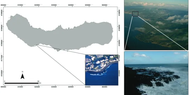 Figura 8. Localização da ETAR-PDL na costa Sul da Ilha de São Miguel, coordenadas UTM (Nuno  Álvaro – MAR-CIIMAR/CIRN, com adaptações de fotos da zona em estudo, Bruno Magalhães 2013).