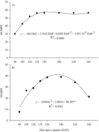 Figura  3.  Número  de  perfilhos  (A)  e  número  de  plantas  (B)  da  cana-de-açúcar  em  função  dos  dias  após plantio (DAP)