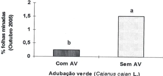 FIGURA 1 - Porcentagem de folhas minadas por Leucoptera coffeella, no mês de outubro de 2005, nos tratamentos  de manejo orgânico, em função da adubação verde