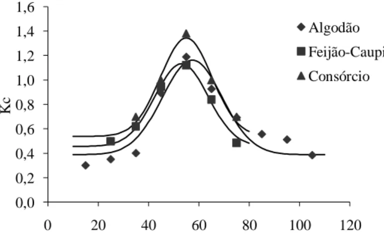 Figura 1. Coeficientes de cultura (Kc’s) do algodão herbáceo e do feijão-caupi em cultivo solteiro e  consorciado