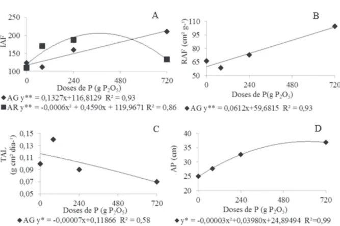 FIGURA 1 - IAF (A), RAF em cm 2  g -1  (B), TAL em g cm² dia - ¹ (C) e AP em cm (D) de cafeeiros, em função de  doses de fósforo (g vaso -1 )