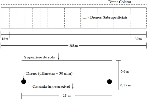 Figura 1: Planta baixa e corte transversal da área experimental de drenagem. 