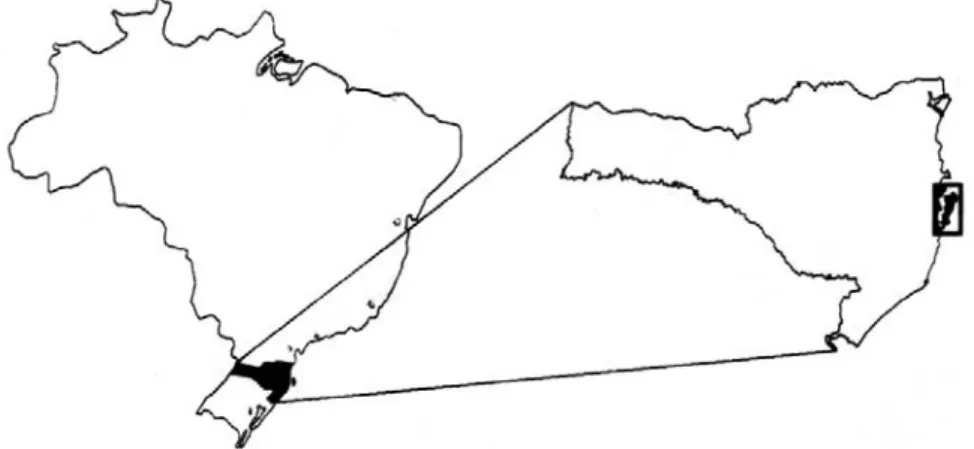 Figura 1 – Ilha de Santa Catarina, localização nos contextos nacional e estadual. 