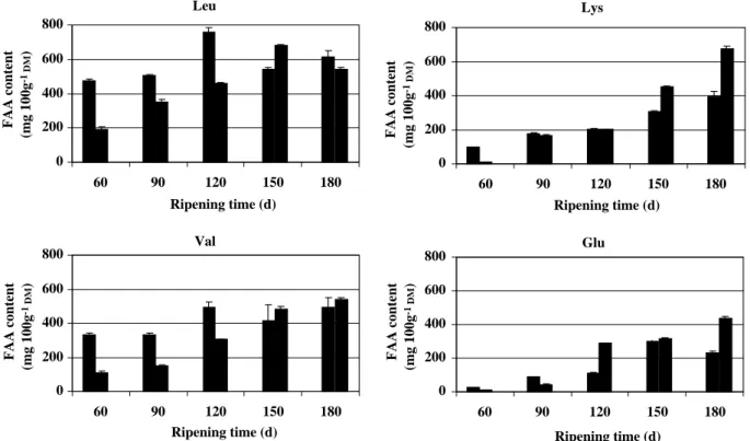 Fig. 3. Evolution in concentration of the four dominant free amino acids, FAA (leucine, Leu; valine, Val; lysine, Lys; glutamic acid, Glu), in Serra da Estrela cheese produced from non-refrigerated (&amp;) and refrigerated (’) milk during the ripening proc