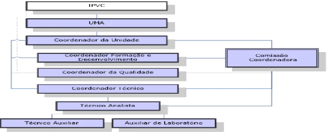 Figura 1: Estrutura orgânica da UMA 