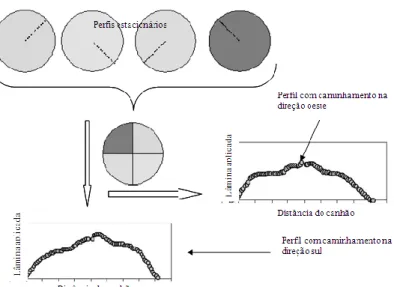 Figura 1. Esquema utilizado para obtenção do perfil de aplicação da água pelo canhão, simulando a operação do  autopropelido a partir dos perfis de distribuição de água estacionários