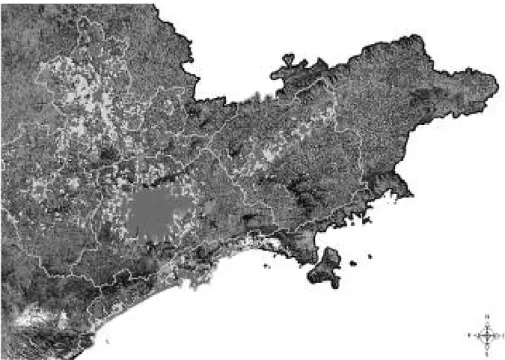 Figura 2 – Fragmento da Megalópole. A mancha urbana maior corresponde à Grande São Paulo; ao norte observa-se a Região Metropolitana de Campinas, e entre ambas  encontra-se o Aglomerado Urbano de Jundiaí