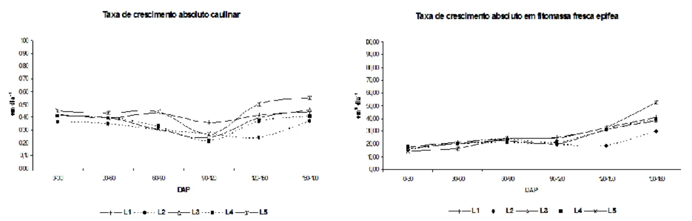 Figura  5.  Comportamento  da  taxa  de  crescimento  absoluta  (cm  dia -1 )  e  da  taxa  de  crescimento  absoluta em fitomassa fresca epígea (cm 2  dia -1 ) ao longo do experimento
