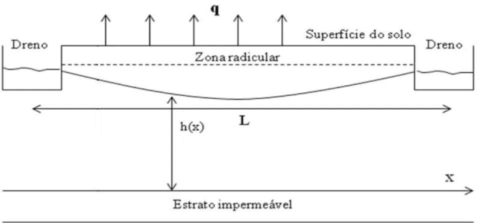 Figura 1. Representação esquemática da subirrigação 