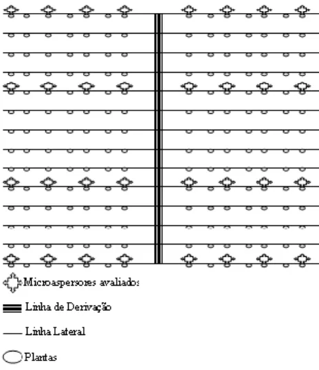 Figura 1. Layout do esquema da seleção de pontos. 