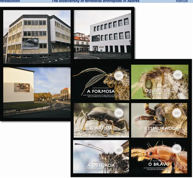 Figure 14. Exhibition “Açorianos há milhões de anos”: large outdoor panels in building walls in Angra do  Heroísmo depicting high resolution portraits of endemic insects from the Azores (photos by Javier Torrent and  Paulo A.V
