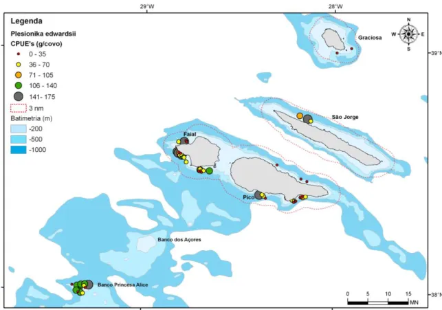 Figura 8. Rendimentos médios em peso do camarão P. edwardsii, por área e lance, observados nos  Açores durante o projecto “Crustaço”