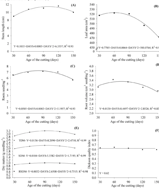 Figure 2 - Vegetative characteristics in seedlings of C. canephora formed from cuttings of different ages, at 125 days after cutting: