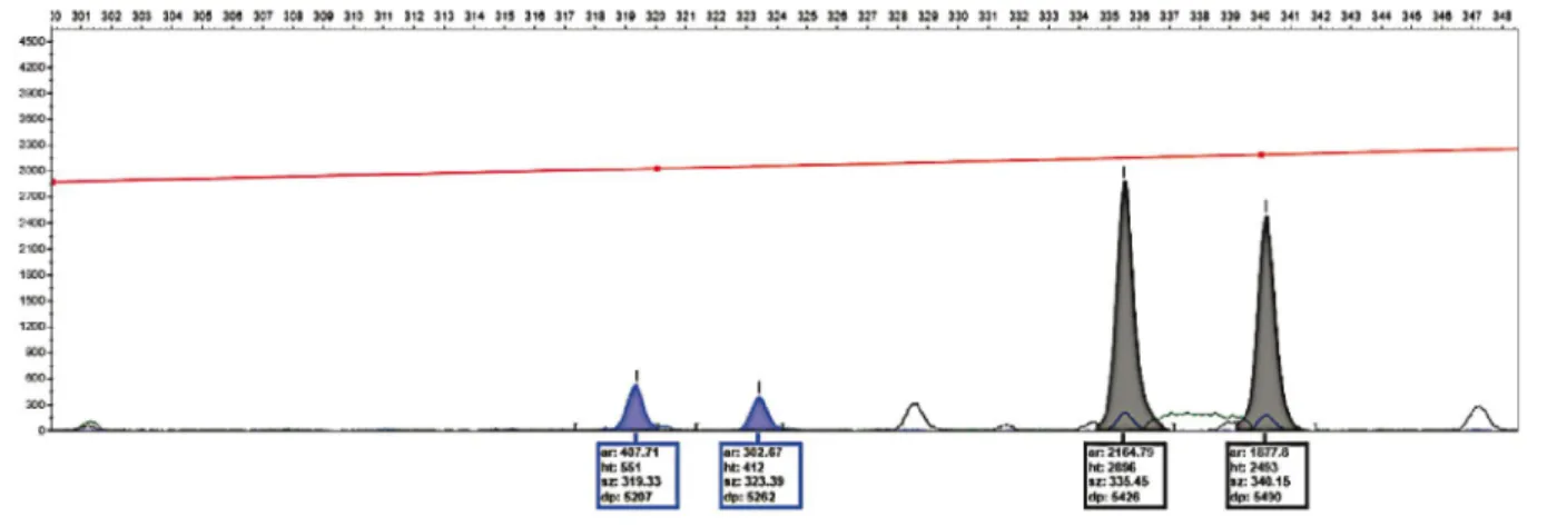Figure 4 - Electropherogram of the tetranucleotide OniUFPel06 marked with FAM fluorescence (blue) and OniUFPel10 marked with NED fluorescence (black)