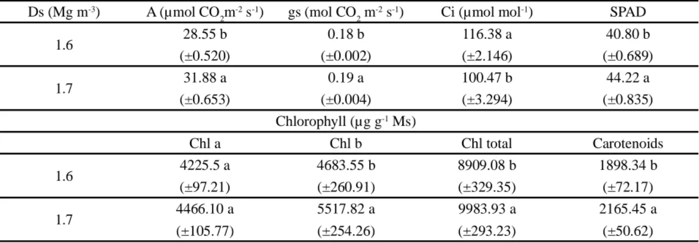Table 3 - Comparison of means, with standard errors of the mean, for the single effect of soil density (Ds) on photosynthesis (A), transpiration (E), stomatal conductance (gs), internal CO 2  concentration (Ci), SPAD and contents of chlorophyll a, chloroph