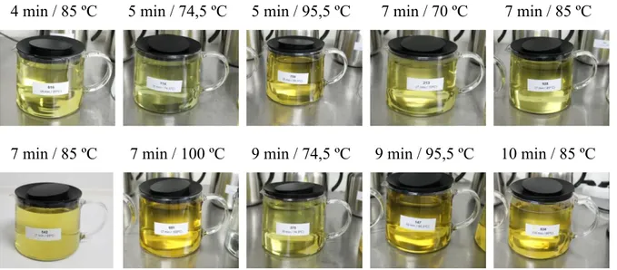 Figura 3.4 - Fase final da preparação das dez infusões de limonete com a concentração de 3 g/L