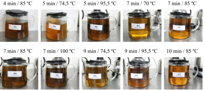 Figura 3.6 - Fase final da preparação das dez infusões de hortelã-pimenta com a concentração de 3 g/L