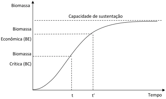 Figura  1.  Curva  de  crescimento  para  produção  de  determinada  espécie  de  peixe  em  função do tempo 