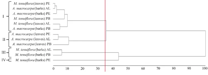 Figure  2 - Similarity dendrogram of the total condensed tannins obtained by UPGMA algorithm, from Mimosa tenuiflora and Anadenanthera macrocarpa plants fraction collected in three sites of Northeast semiarid