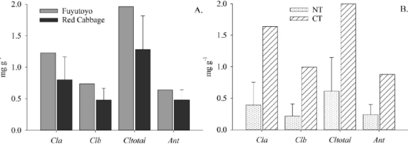 Figure 1 - Levels of chlorophyll a (Cla), chlorophyll b (Clb), total chlorophyll (Cltotal) and anthocyanin (Ant), in two cabbage cultivars, Fuyutoyo and Red Cabbage (A) grown under no-tillage and conventional tillage (B) systems