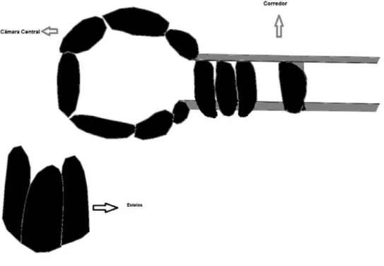 Figura 1 – Planta de um dólmen. E em pormenor a esquerda há uma exemplificação de como os  esteios são visíveis do solo.