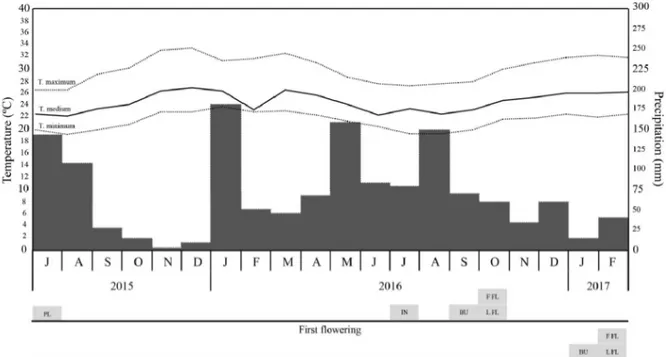 Figure  1  - Data of temperature and rainfall of Cruz das Almas, Bahia obtained during the period of clonal evaluation in the field with the ornamental pineapple hybrid (ORN-MUT)