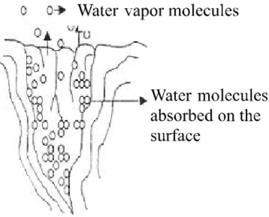 Figure 2 - Representation of the drying process (A) and wetting (B) of corn kernels (B) (SILVA, 2008)