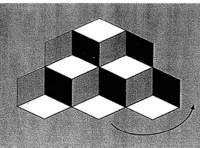 Figura 4 - Apesar de ambas as linhas terem o mesmo comprimento, ao ser observado o efeito das  setas convergentes e divergentes, à direita a atenção é dirigida para fora parecendo maior e à esquerda 