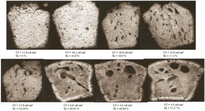 Figure 1 shows the effects on the internal structure of cakes where the sucrose was substituted by a mixture of sucralose and xanthan gum