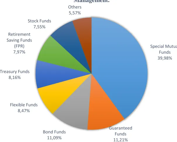 Figure 3.2 - Categorization of Portuguese Mutual  Funds Market, in 2012, based of Assets Under 